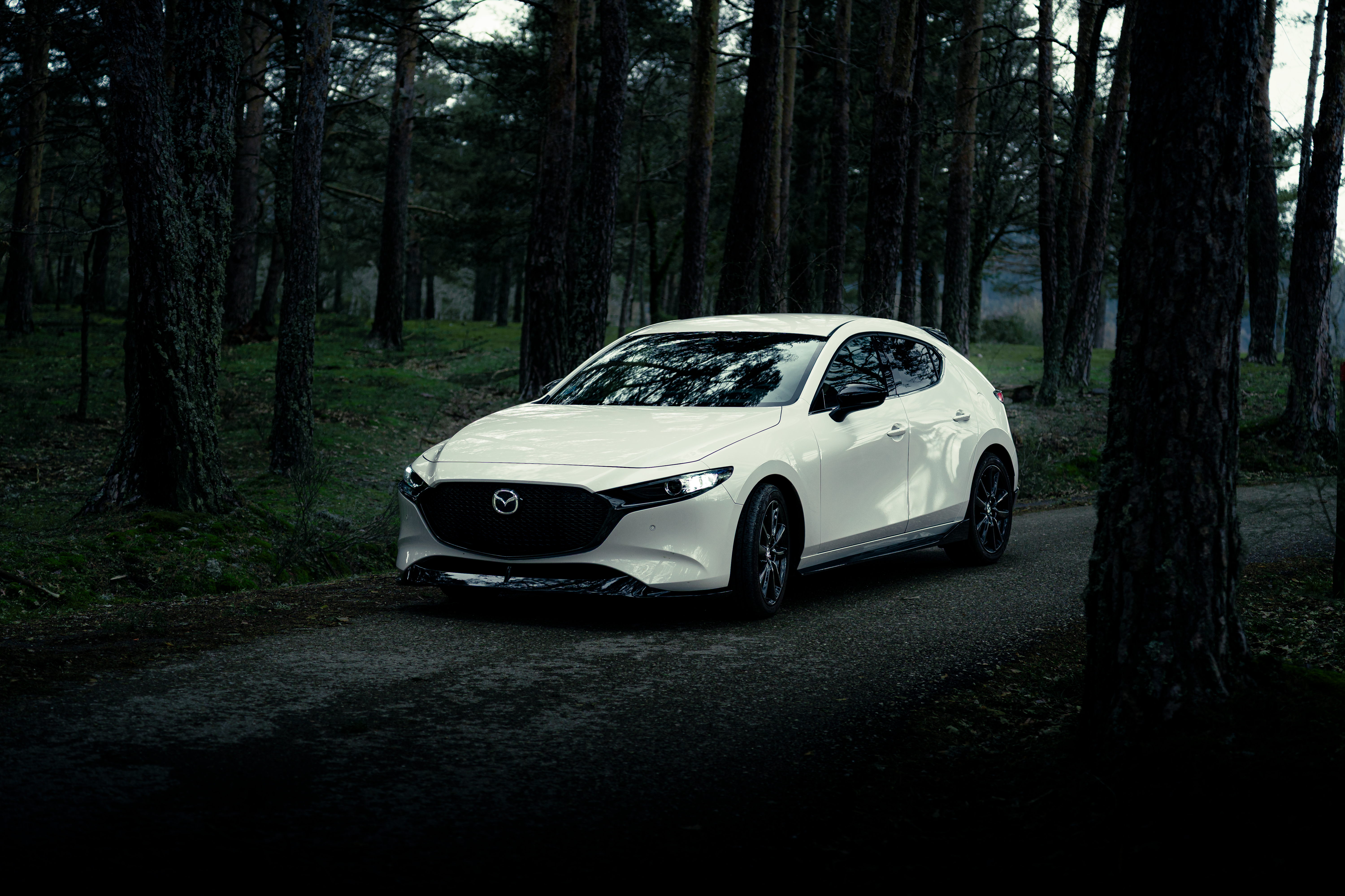 Cars Image